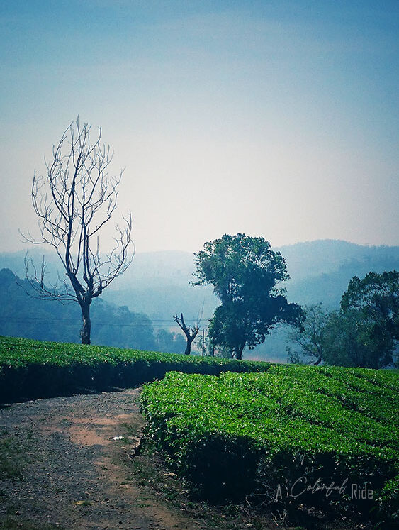 valparai