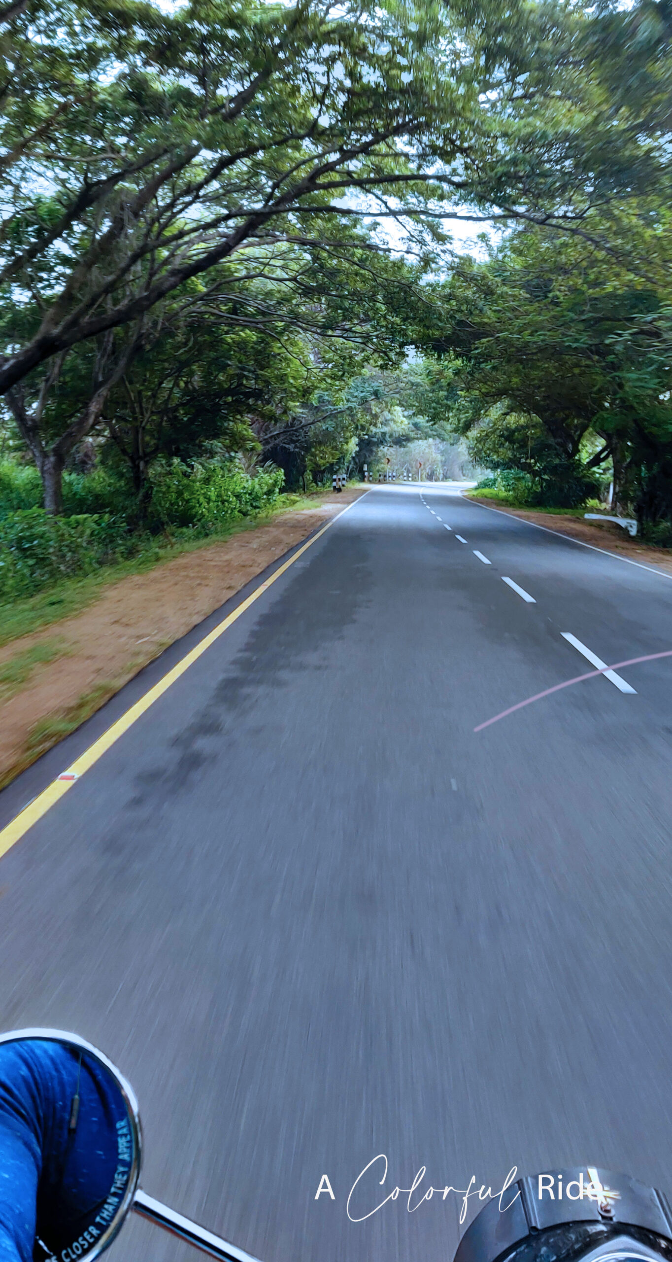 Places to visit in Pondicherry, French war memorial Pondicherry, Things to do in Pondicherry, Pondicherry Road Trip, Chennai to Pondicherry Road Trip
