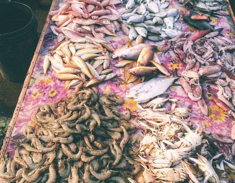 Fish-768x1024