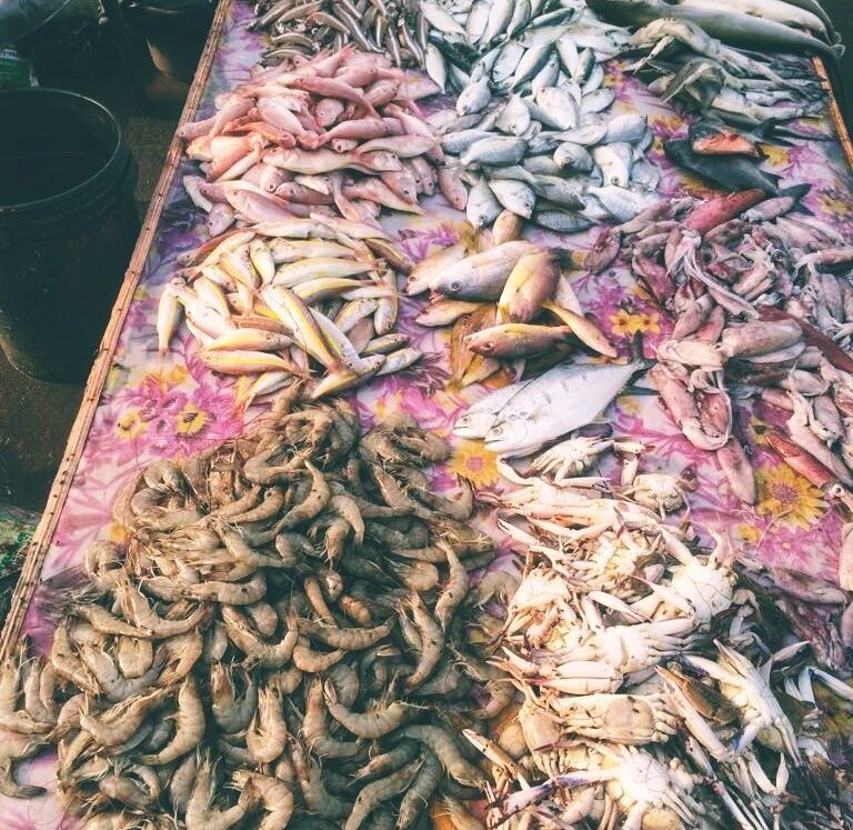 Fish-768x1024