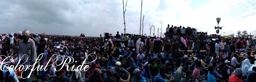 Jallikattu2