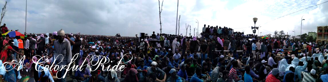 Jallikattu2